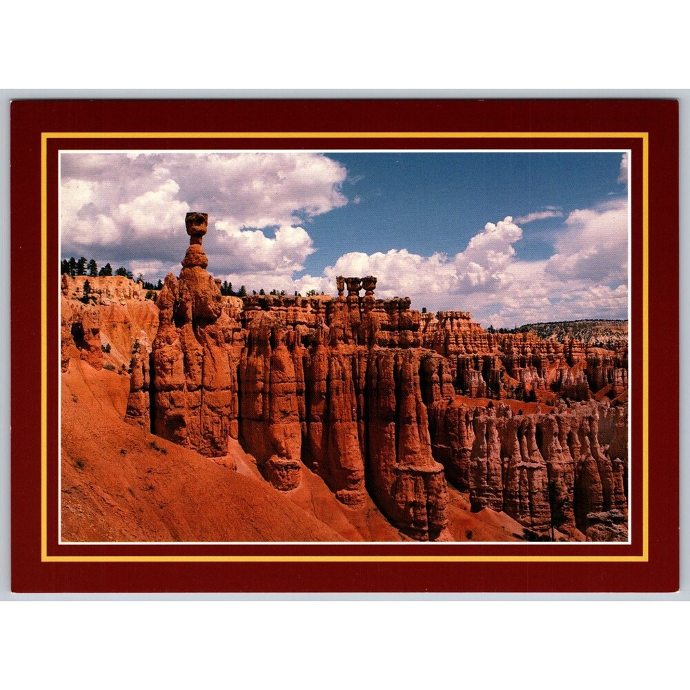 Postcard Bryce Canyon National Park View Navajo Loop Trail Large Print 8"x5.75"